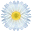 DaisyWords icon